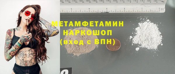 прущие грибы Абаза