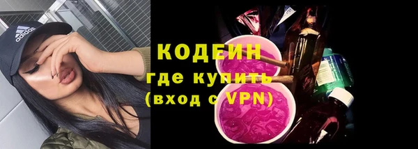 прущие грибы Абаза