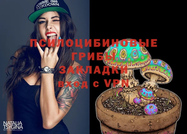 стафф Алзамай