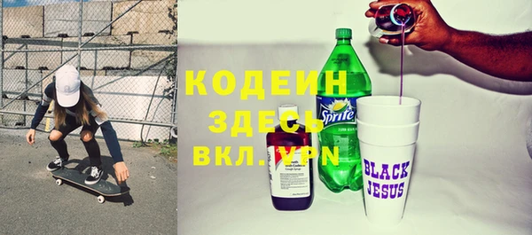 прущие грибы Абаза