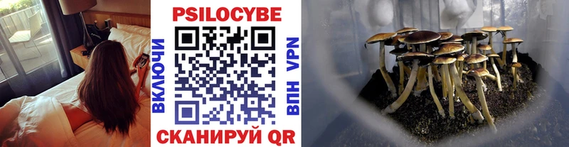 Псилоцибиновые грибы мухоморы как найти Красавино